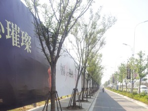 圍墻廣告1